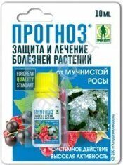 Прогноз 10 мл (01-682)  Грин Белт (от мучнистой росы, серой гнили и др. болезней)