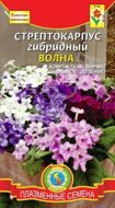 Стрептокарпус Волна комнатное гибридный  смесь, драже 5 шт.